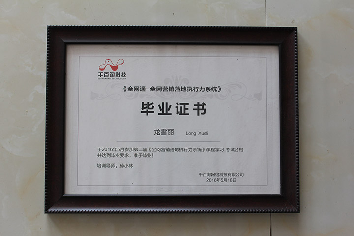 千百淘-全網營銷落地執行力系統